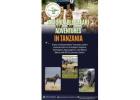 Affordable safari Adventures in Tanzania 