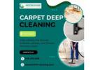 Carpet Deep Cleaning Idaho Falls