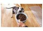 Shop Best Quality Dog Food in Singapore