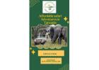 Budget Wildlife Tours – Affordable Safari Adventures in Tanzania