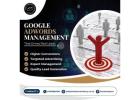 Google Adwords Management