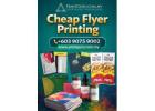 Fast and Affordable Flyer Printing Services for Business Promotion