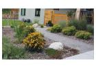 Custom Landscape Design Denver for Beautiful and Functional Outdoor Spaces