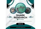 Shark Research South Africa