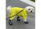 Small dog fleece jacket