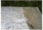 Roof Moss Removal Company George