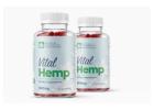 Vital Hemp Gummies Australia