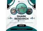 Shark Research South Africa