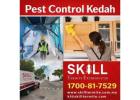 Top Rated Pest Experts Delivering Reliable Protection Across Kedah
