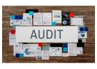 Quick and Efficient Tax Audit Services 