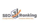 Expert On-Page SEO Services for Higher Rankings