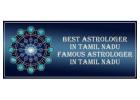 Best Astrologer in Tiruvallur 