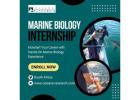 Marine Biology Internship South Africa
