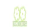 Same Day Flower Delivery Broadmeadows - Living Flowers