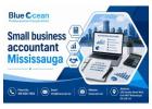 Small Business Accountant Mississauga – Professional Accounting Support