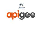 APIGEE Online Coaching Classes In India, Hyderabad