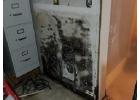 Mold Removal Company in Whitefish, MT | Mold Cleanup Experts