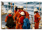 Buy Rope Online