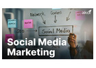 SEO Services Company in India for Organic Traffic Growth