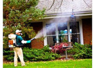 Kids Playing Outside Until Dark Without The Itchy Aftermath Every Day