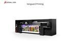Take Production Further With Vanguard Digital Printing Systems in