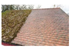 Effective Moss Removal Solutions for Homes in watford