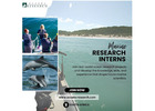 Marine Research Interns