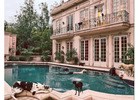 QEditorial Magazine: Pet Fashion Trends Redefining Style for Modern Pets 