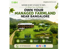 Managed Farmland Sakleshpur – Premium Agricultural Investment Opportunities