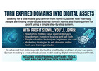 Turn Expired Domains Into Digital Assets