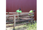 Fencing Products in Ohio | Quality Fence Materials for Every Project