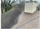 Roof moss removal companies near me