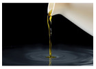 Used Cooking Oil Solutions Westchester County