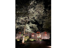 Outdoor Lighting in Miami