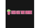 Team Gale Tree Service