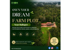 Agriculture Land for Sale in Kanakapura Road | Premium Managed Farmland by Delightecofarms