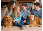 Cherish Professional Residential Carpet Cleaning in Adelaide