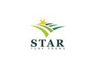 CitraZoy Maintenance Tips for Long-Lasting Turf Health