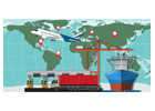 International Freight Forwarder for Global Shipping 