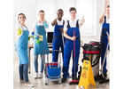 Find Fully Customized Carpet Cleaning North Adelaide