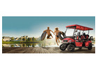Boost Your Comfort Level with Golf Cart Rental Anna Maria 
