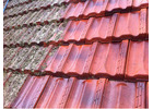 Need Adelaide Roof Repairs? Get Expert Roofing Today