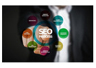 Local SEO Provider for Better Search Visibility and Growth