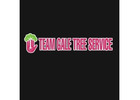 Team Gale Tree Service