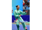 Professional Kung Fu, Wushu & Tai Chi Uniforms for Clubs & Teams | Since 2003
