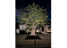 Outdoor Lighting in Miami