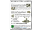Learn How to Build Income With an Automated Business System