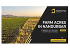 Grab Agricultural Land in Nandurbar — Secure Verified Farm Acres | Propertzz