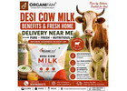 Desi Cow Milk Benefits & Fresh Home Delivery Near Me