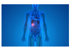 Dr. Kyriakos Neofytou: Recognizing Gallstone Symptoms and Understanding Digestive Health